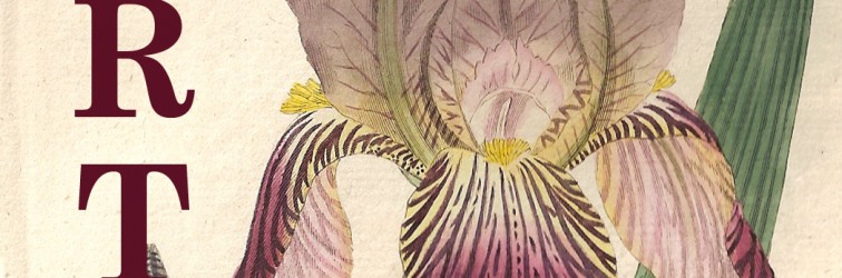 pagina web de by botany