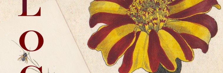 Blog de By Botany