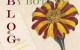Blog de By Botany