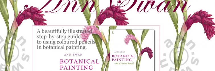 Ann Swan Botanical Artists