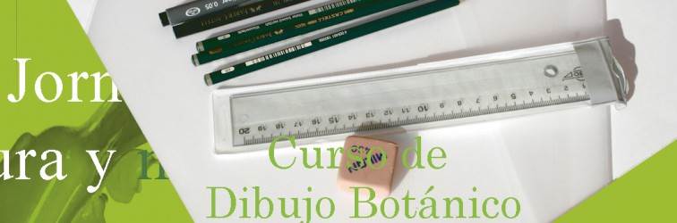 Curso de dibujo botánico en Gijón,
