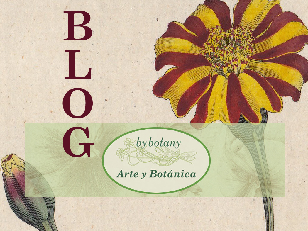 Blog de By Botany