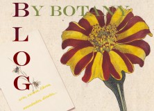Blog de By Botany