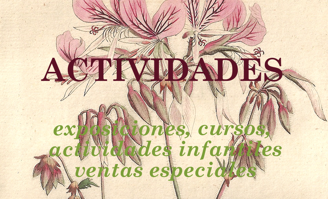 actividades de la empresa By Botany