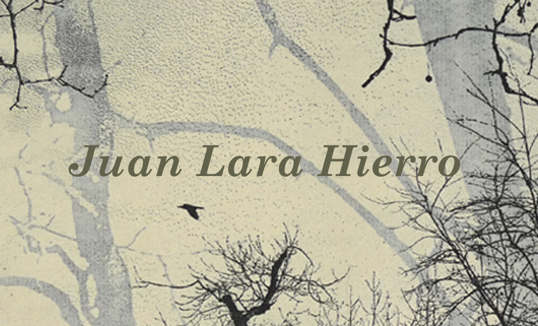 "Juan Lara Hierro"