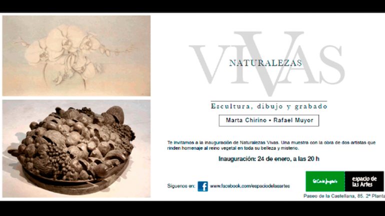 Exposición Naturalezas Vivas, de Rafael Muyor y Marta Chirino en el Espacio de las Artes