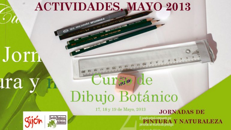 Fin del curso de dibujo botánico en Gijón