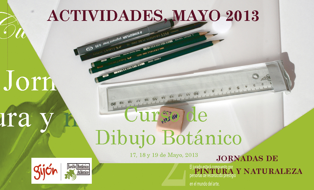 Curso de dibujo botánico en Gijón,