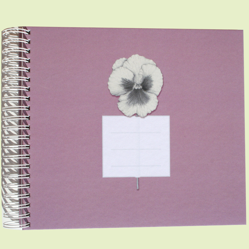Album-cuaderno rosa y azul