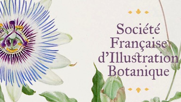 Société FranÇaise d´Illustration Botanique