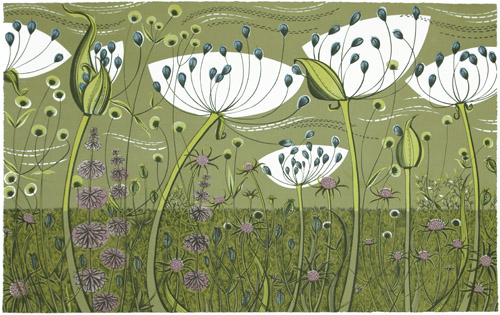 Agapanthus de Angie Lewin´s