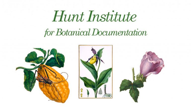 The Hunt Institute for Botanical Documentation