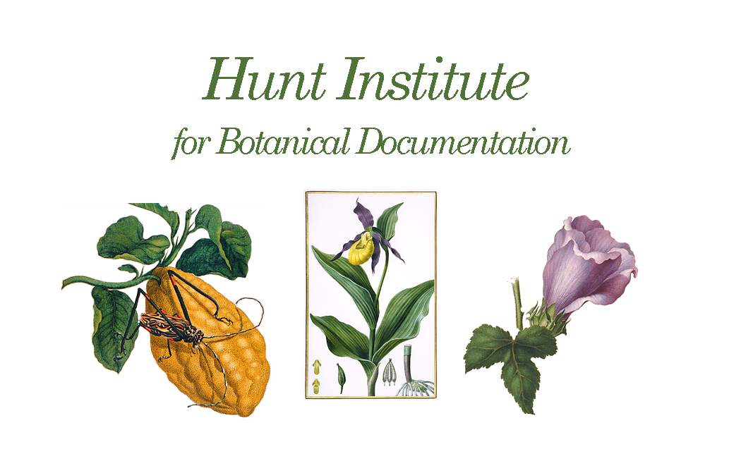 Hunt Institue for botanical documentation