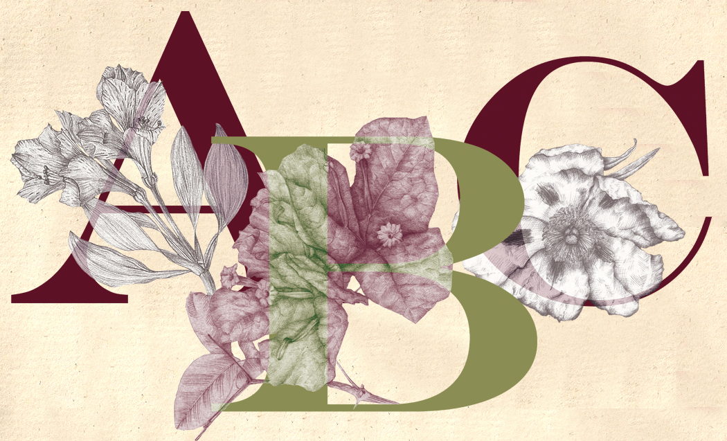 The floral alphabet original by Marta Chirino