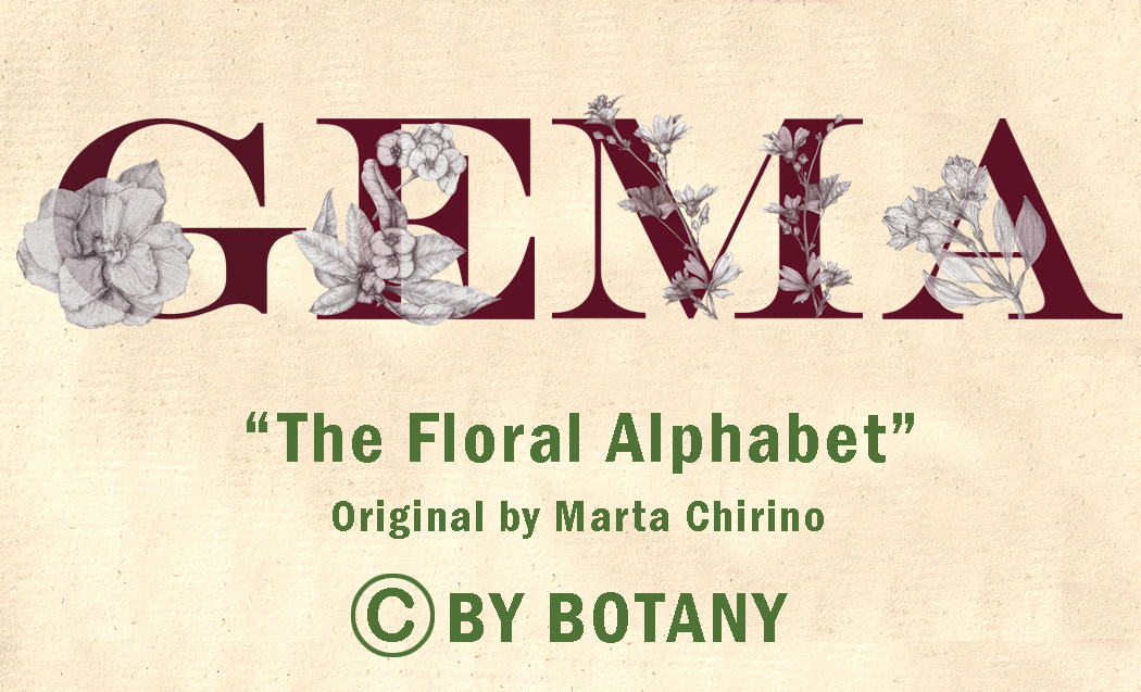 The floral alphabet