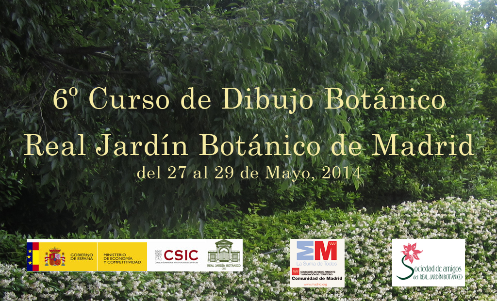 6º Curso de dibujo botanico en el Real Jardin Botánico de Madrid