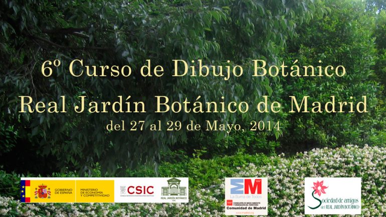 6º Curso de Dibujo Botánico en el Real Jardín Botánico, CSIC, de Madrid