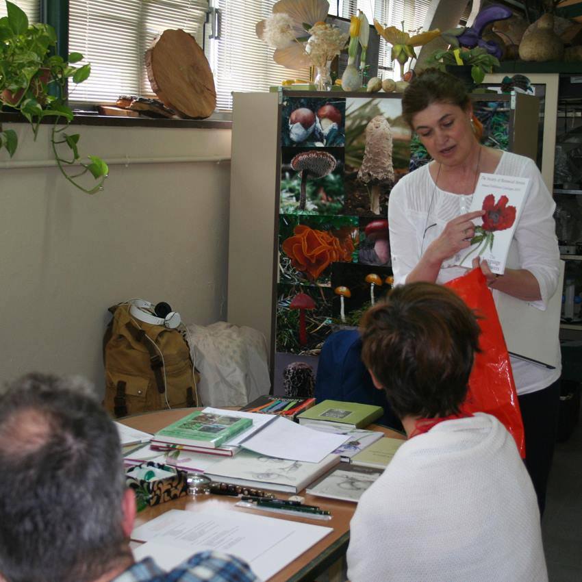 Profesora Marta Chirino