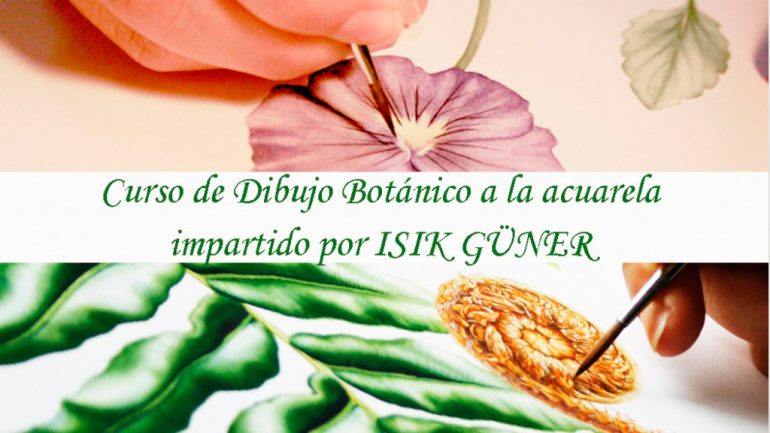 Curso de Ilustración Botánica a la Acuarela con Isik Güner