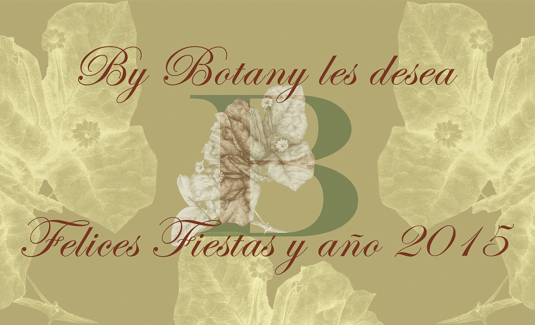 By Botany les desea Felices Fiestas y Año 2015