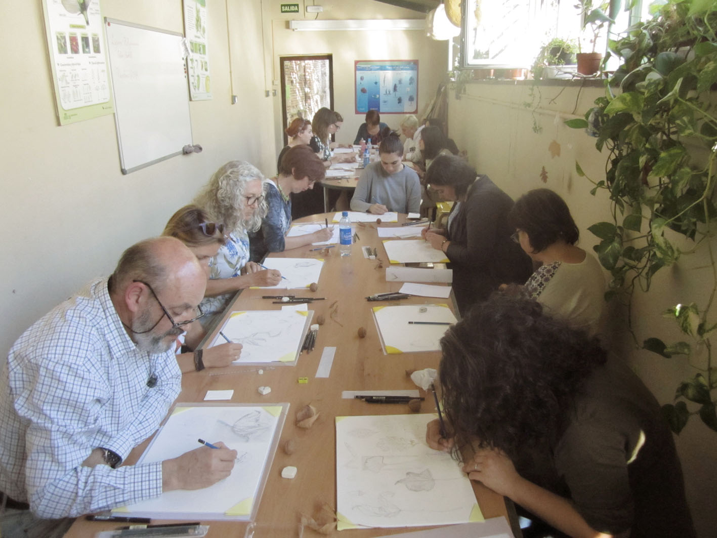 Curso de Dibujo Botánico en el Real Jardín Botánico de Madrid