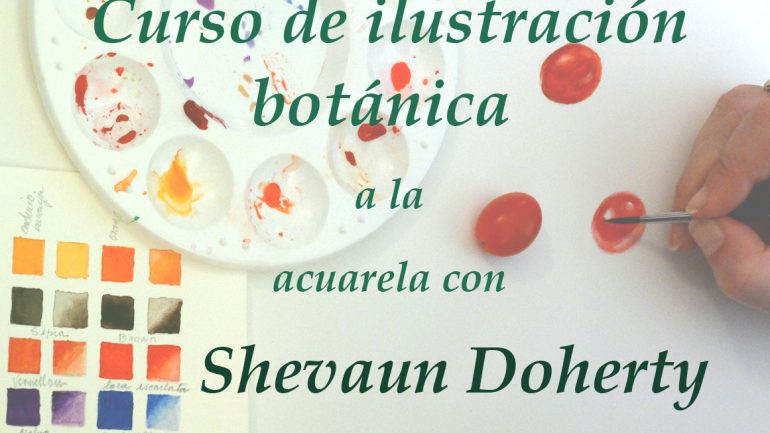 Curso de Ilustración Botánica, Shevaun Doherty