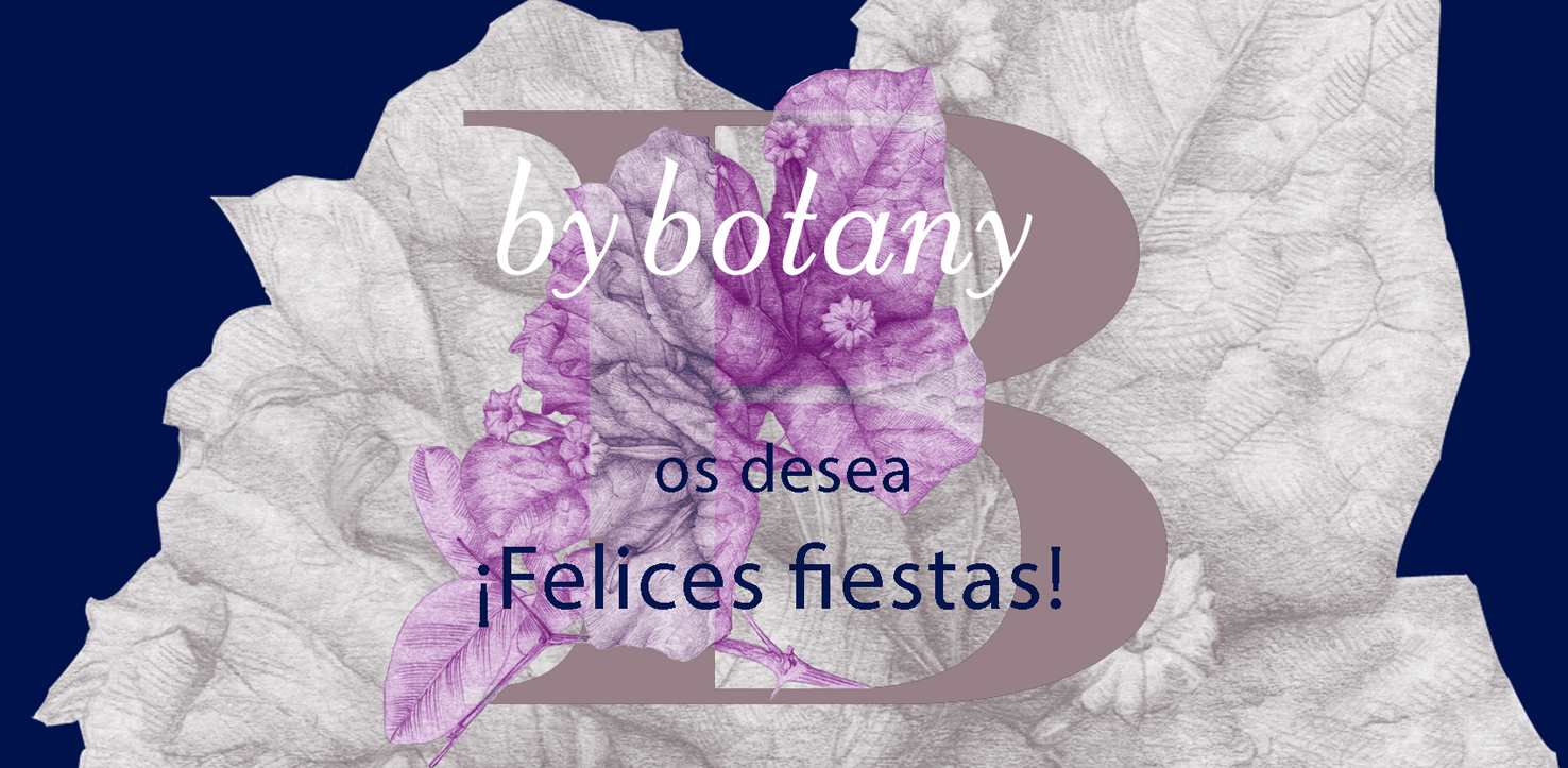 Felices Fiestas y año 2016