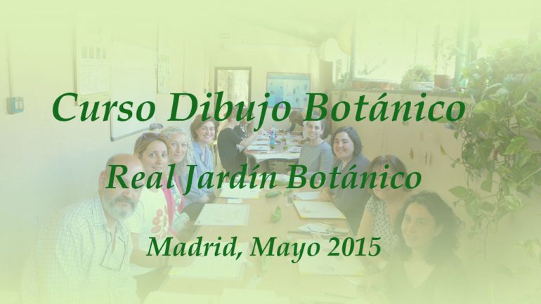 7º Curso de dibujo botánico en el RJBM