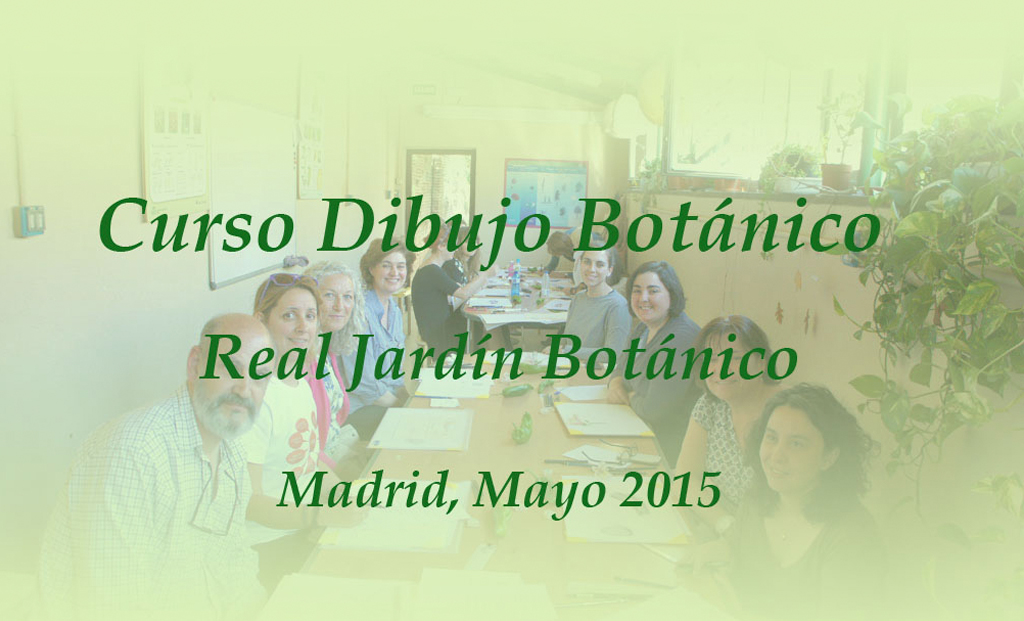 Curso de Dibujo Botánico