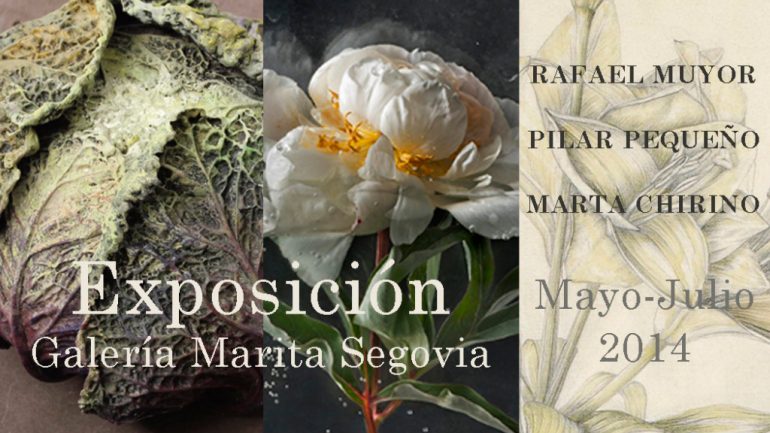Pilar Pequeño, Rafael Muyor y Marta Chirino en la Galería Marita Segovia