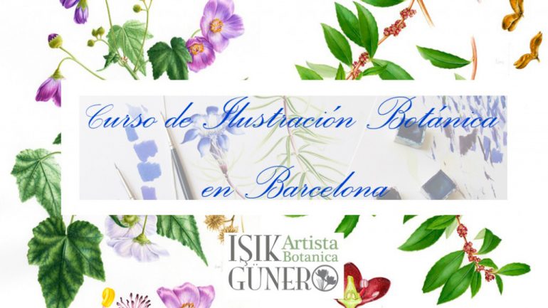 Curso de Ilustración Botánica a la acuarela en Barcelona