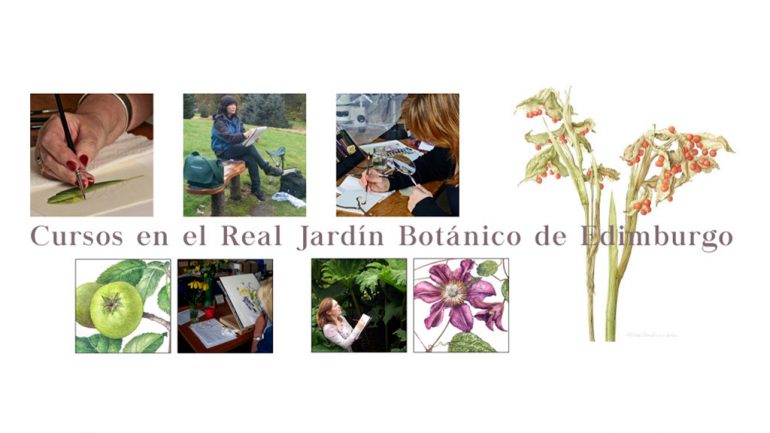 Cursos del RJBE de ilustración botánica