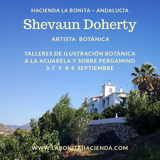 Cursos impartidos por Shevaun Doherty en la Hacienda La Bonita