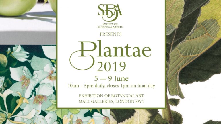 PLANTAE, EXPOSICIÓN DE ARTE BOTÁNICO EN LONDRES